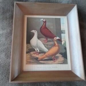 Red, White  & Yellow Dragoons, Joseph Ludlow Chromolithograph
