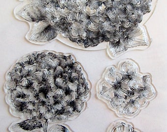 Set 4 Tampons transparents Hortensia