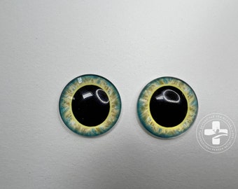 May include: Two round, blue, yellow, and black glass eyes for doll making. The eyes have a black pupil and a yellow iris with a blue outer ring.