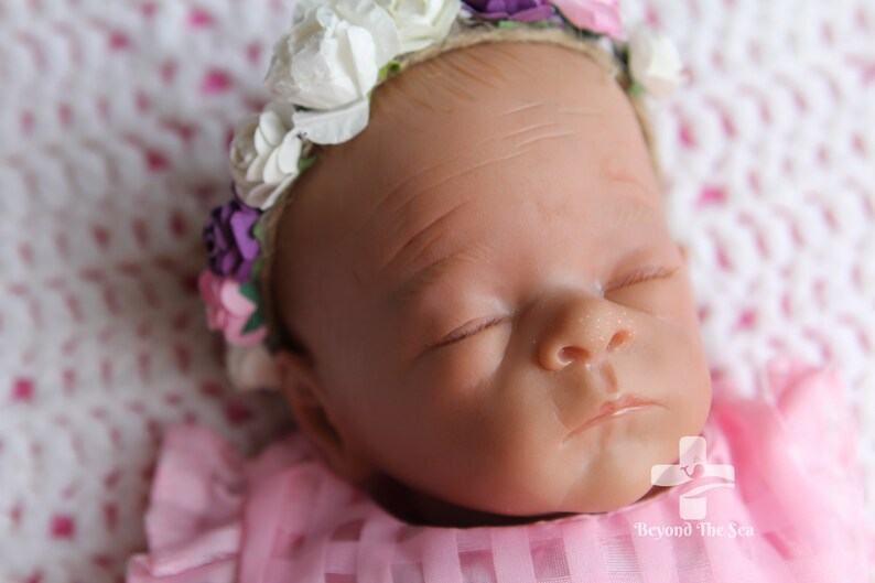 beyond the sea reborns