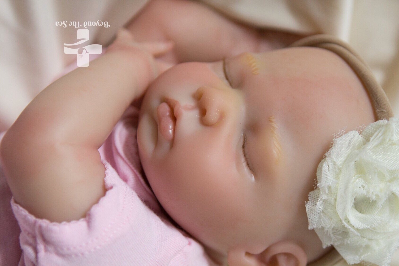 beyond the sea reborns