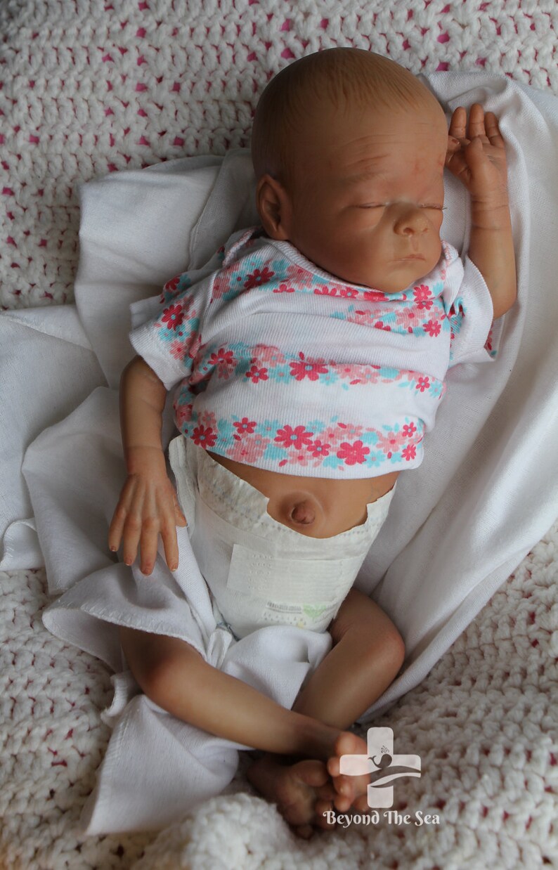 beyond the sea reborns