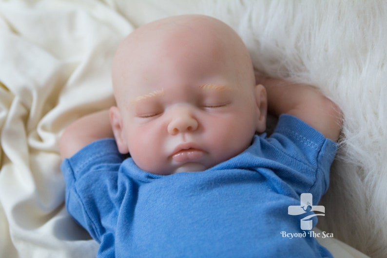 beyond the sea reborns