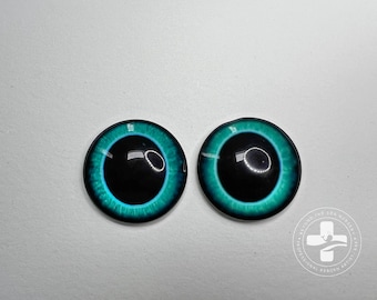 May include: Two teal blue glass eyes with black pupils and a white ring around the iris. The eyes are for use in reborn dolls.