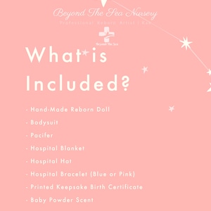 May include: Pink background with white stars and text that reads "Beyond The Sea Nursery Professional Reborn Artist Rate" and "What is Included?"  A list of items included with a reborn doll: Hand-Made Reborn Doll, Bodysuit, Pacifier, Hospital Blanket, Hospital Hat, Hospital Bracelet (Blue or Pink), Printed Keepsake Birth Certificate, Baby Powder Scent.  The text at the bottom reads "FREE SHIPPING WITHIN THE USA!"