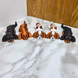 Puede incluir: Cinco figuritas miniatura de Cavalier King Charles Spaniel, cada una en una combinación de colores diferente de negro, blanco y marrón. Las figuritas están dispuestas en fila sobre una superficie de mármol blanco.