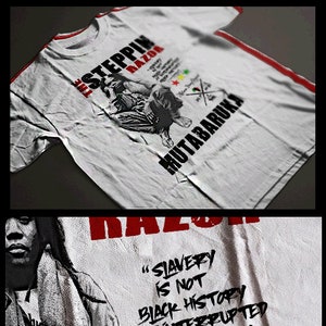 Black History Month T-Shirt Afrikaanse slaaf Kemetic Marcus Garvey Black Panther Huey P Newton Malcolm X Angela Davis Kemet Africa Melanin