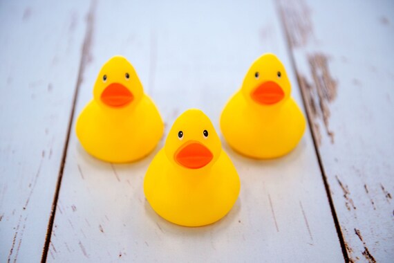 Yellow Rubber Ducky 3 Rubber Duck