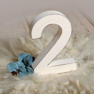 Wooden Two - Number - White, Newborn Photography Prop - Ready to Ship