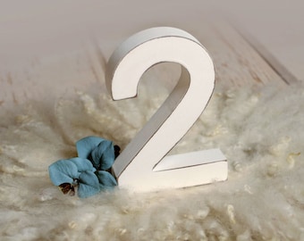 Wooden Two - Number - White, Newborn Photography Prop - Ready to Ship