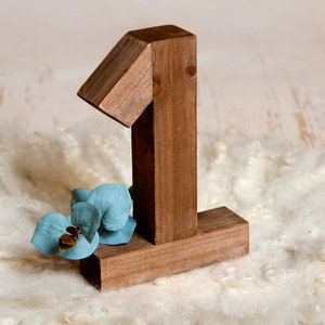 Wooden One - Number - Brown, Newborn Photography Prop - Ready to Ship