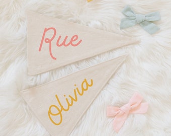 Custom Name Pennant Flag, Personalized Nursery Pennant, Custom Kids Canvas Banner, Baby Name Pennant, Baby Name Announcement Sign