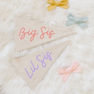 Sis Pennant Banner, Gender Reveal Sign, Big Sis Pregnancy Reveal, Big Sister Little Sister, Pregnancy Announcement Sign
