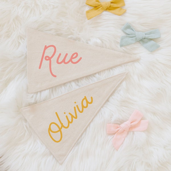 Custom Name Pennant Flag, Personalized Nursery Pennant, Custom Kids Canvas Banner, Baby Name Pennant, Baby Name Announcement Sign