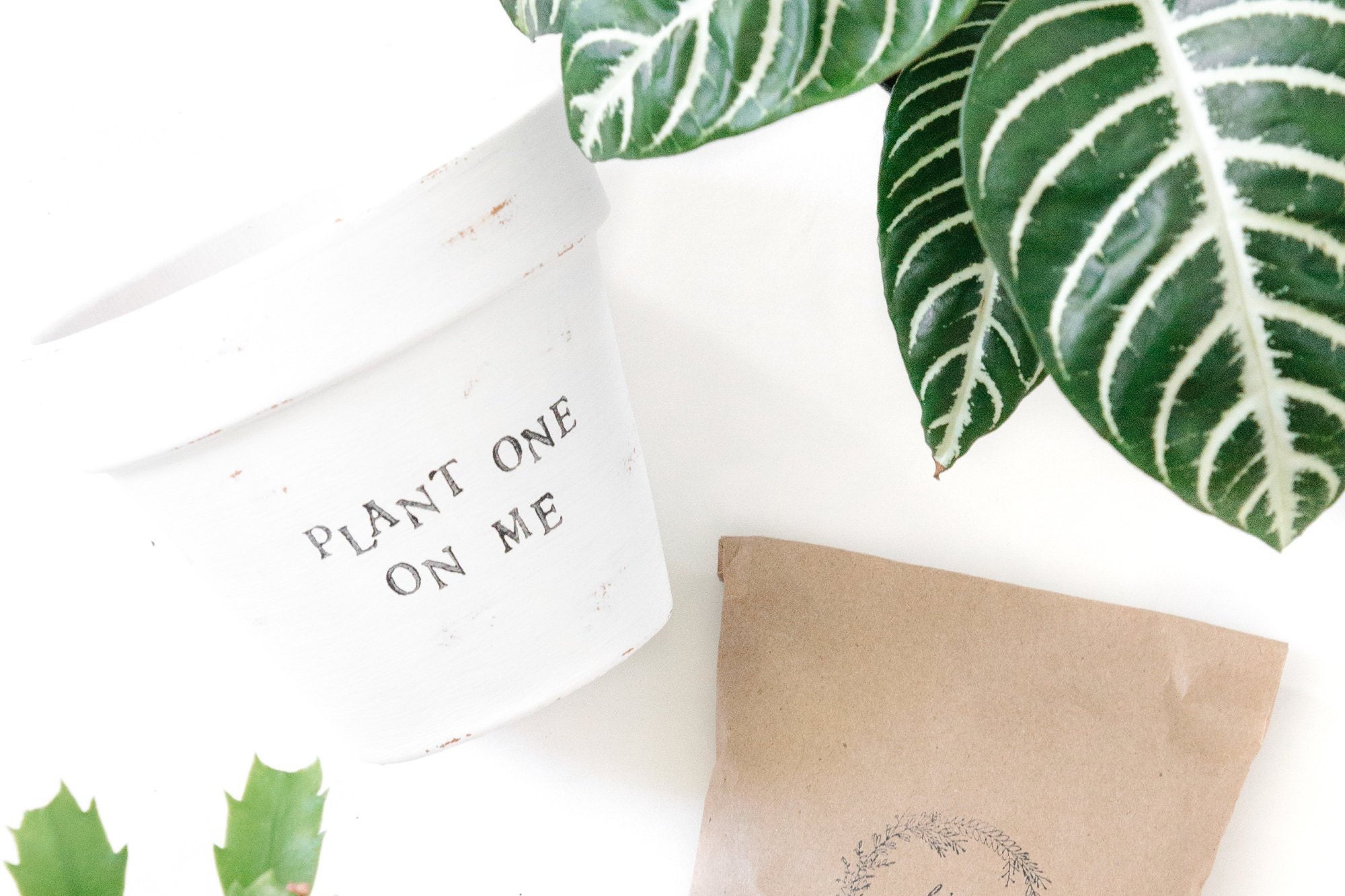 plant gift for girlfriend