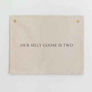 Our Silly Goose Is Two Fabric Banner, Silly Goose Birthday Sign, Birthday Canvas Banner, Silly Goose Birthday Decor, Silly Goose Party Theme