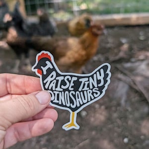 May include: A black and white sticker of a chicken with the text "I raise tiny dinosaurs" on it. The sticker is being held by a hand in front of a blurred background of chickens.