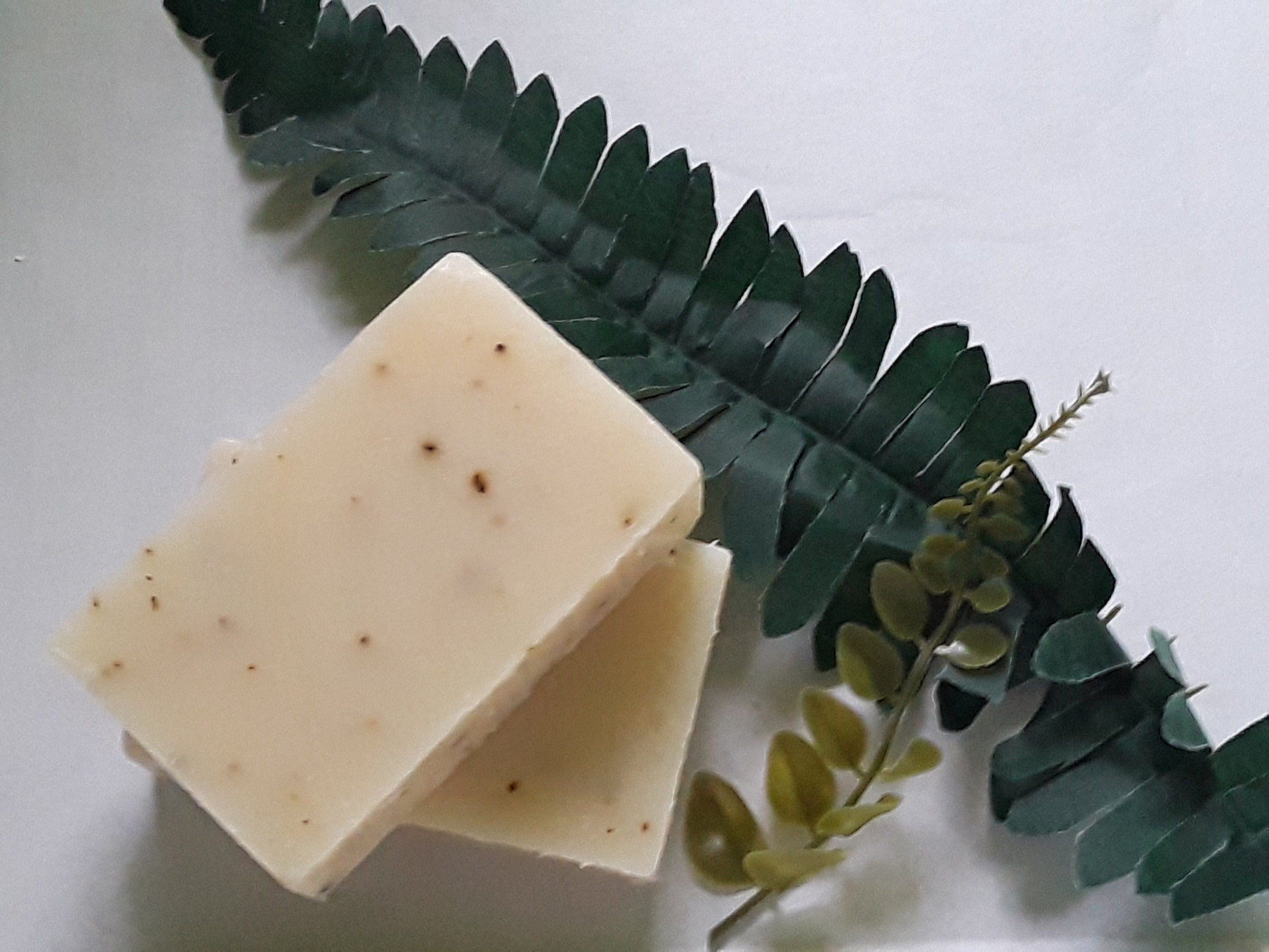 Tea Tree Mint Handmade Soap Etsy