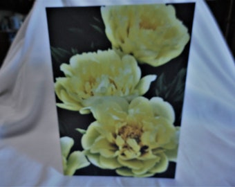 Yellow Peonies ... Happy Birthday card, photo card, 5x7 folded card, yellow flowers, printed inside ... #259