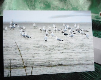 Beach Invitation ... Beach scene, note card, Gathering At The Beach, blue ocean, seagulls ... #31