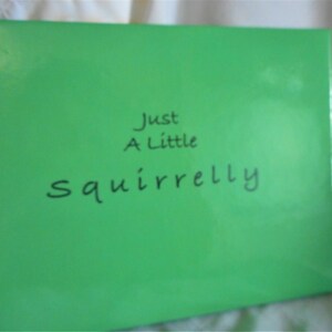 Just A Little Squirrelly .... small book, 6x8 size, photo book, hard cover, coffee table book, for all ages .... #294