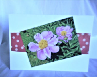 Single  Petal Peony ... blank notecard, all occasion, photo card, pink flowers, red polka dots ... #242