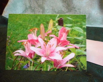 Blank Greeting Cards .. all occasion cards, floral note cards, pink oriental lilies .. #46