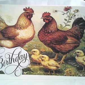 May include: A birthday card featuring a vintage illustration of two brown hens and three yellow chicks in a grassy field. The card has the words "Happy Birthday" in elegant script.