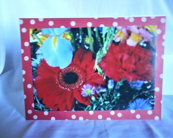 Red Mixed Bouquet ... blank notecards, all occasion, bright red daisy, red carnation, blue iris ... #243