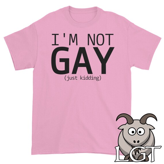 im not gay traducido en español