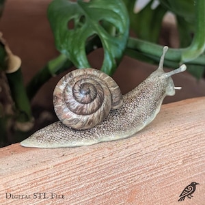 Può includere: Una scultura dettagliata di una lumaca con un guscio a spirale nei toni del marrone e del beige. Il corpo della lumaca è strutturato e grigio. Le parole "DIGITAL STL FILE" sono stampate in basso.
