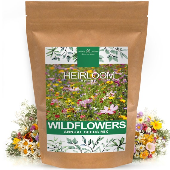 Wildflower Seeds Mix of 21 Different Varieties of Non-gmo | Etsy