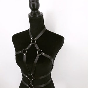 Leather harness image 2