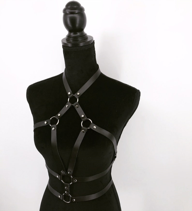 Leather harness image 2