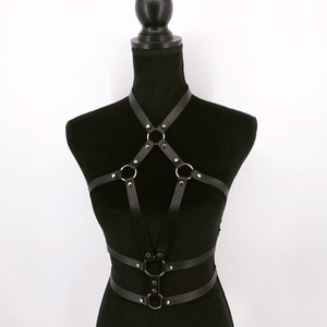 Leather harness image 1