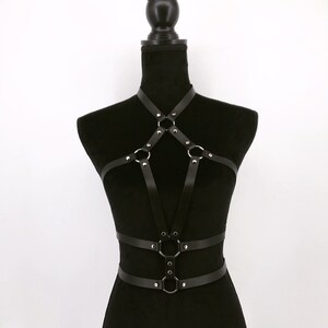 Leather harness image 3