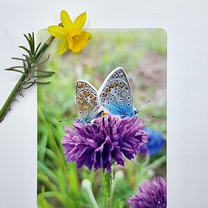 Glückwunschkarte an ein Geschenk, frisches sommerliches Schmetterlingsmotiv für jeden Anlass, wie Geburtstag, Einzug, Rente, Umzug