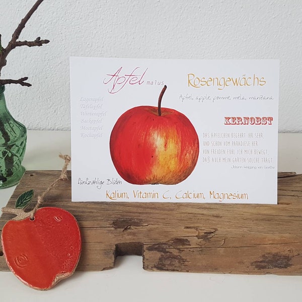 Postkarte Apfel, Streuobstwiesen Liebe, Apfelliebe, Apfelglück, Wiesengruß, Geburtstagsgruß oder Deko