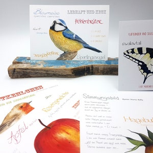 Postkarten 5-er Set Natur, handgemalte Motive in Aquarell, Blaumeise, Rotkehlchen, Apfel, Schwalbenschwanz, Hagebutte