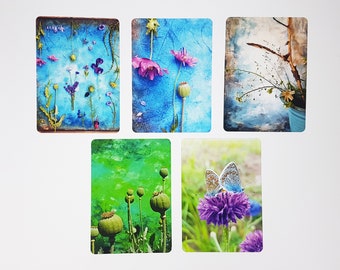 Greeting card, 5 colorful summer motifs as a set, photography of an abstract image and a plant, birthday card, gift tag