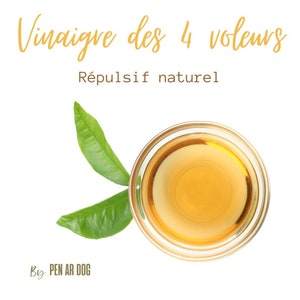 Vinegar of the 4 thieves natural repellent for dogs - Natural anti tick