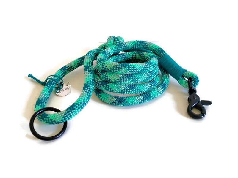 Laisse en Corde Pour Chien Disponible Version Classique, Multipositions ou Lasso