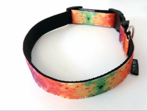 Collier Pour Chien Multicolore