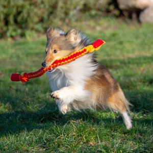Dog toy, soft, very resistant and machine washable