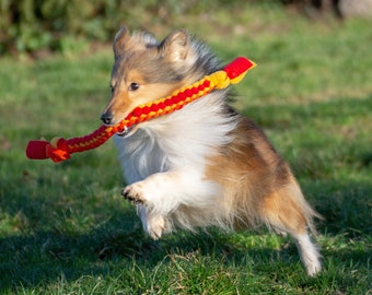 Jouet pour chien, doux, très résistant et lavable en machine