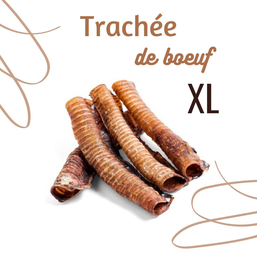 Trachée de Bœuf Xl Gourmandise Naturelle Pour Chien