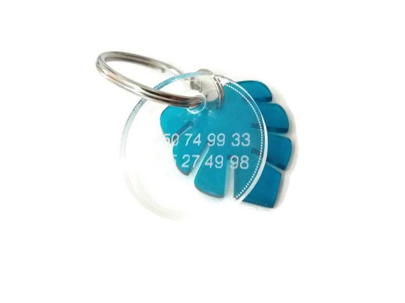 Médaille d'identification Pour Chien en Plastique Transparent