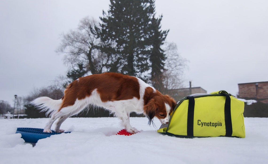 Customizable Treat and Train Bag Etsy