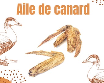 Aile de canard, friandises pour chien