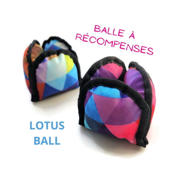 Balle à récompense ou lotus balle multicolore